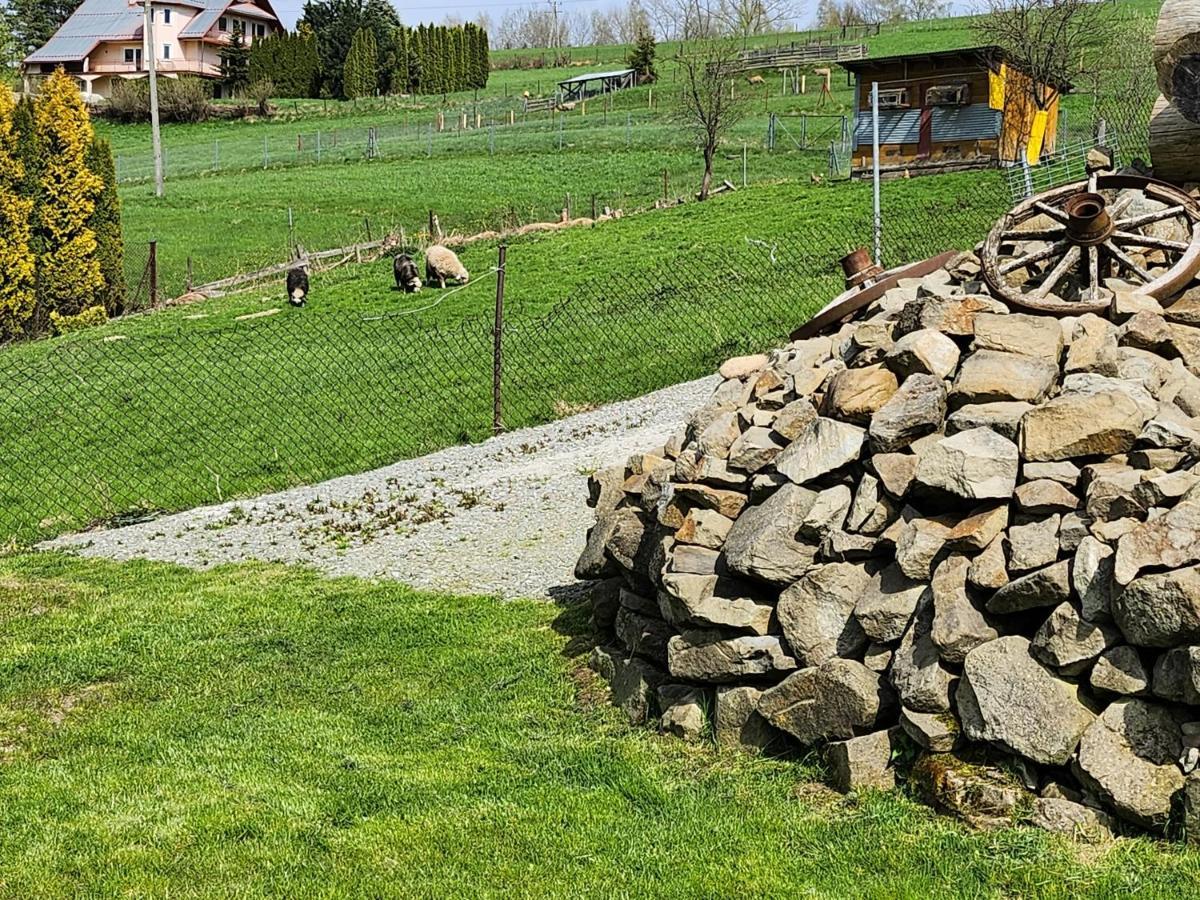 U Ewki * Rdzawka
